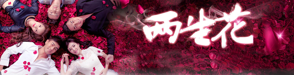 两生花剧情介绍