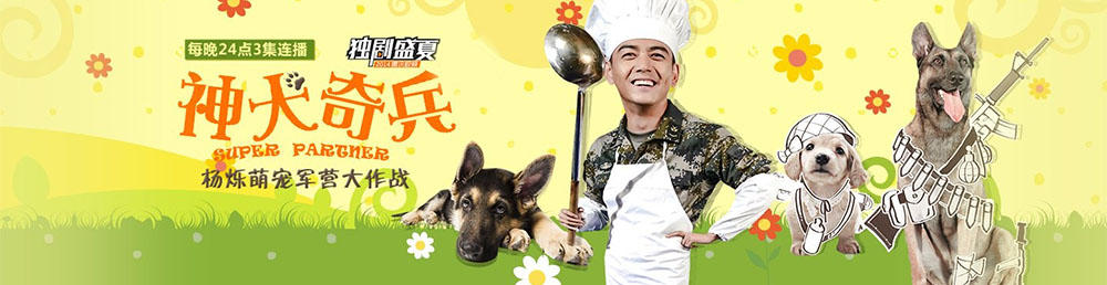 神犬奇兵剧情介绍