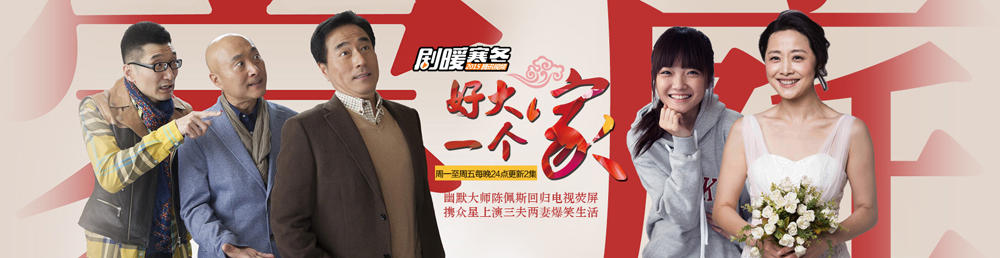 好大一个家剧情介绍