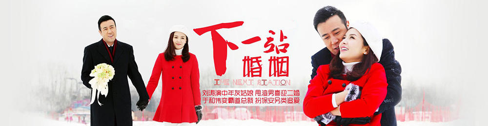 下一站婚姻演员表