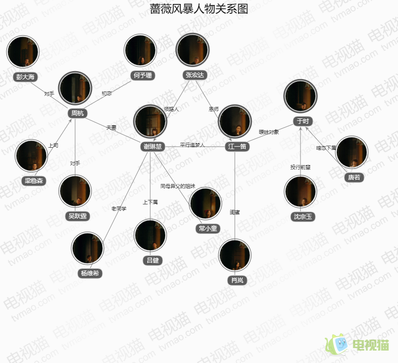 蔷薇风暴人物关系图