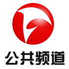 安徽公共频道