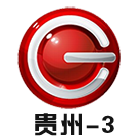 贵州影视文艺频道