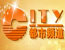 天津电视台都市频道