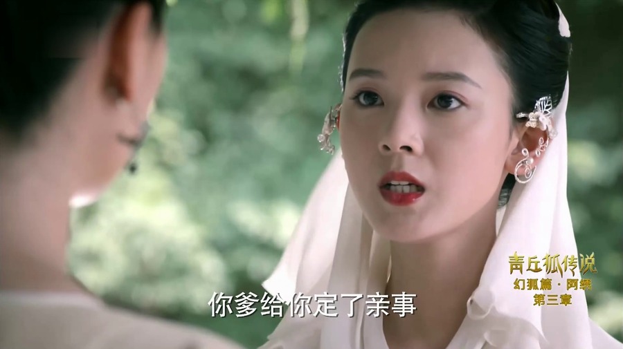 青丘狐传说剧照