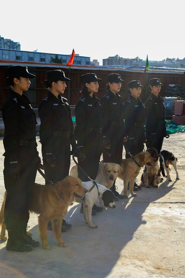 警花与警犬-马文芳剧照