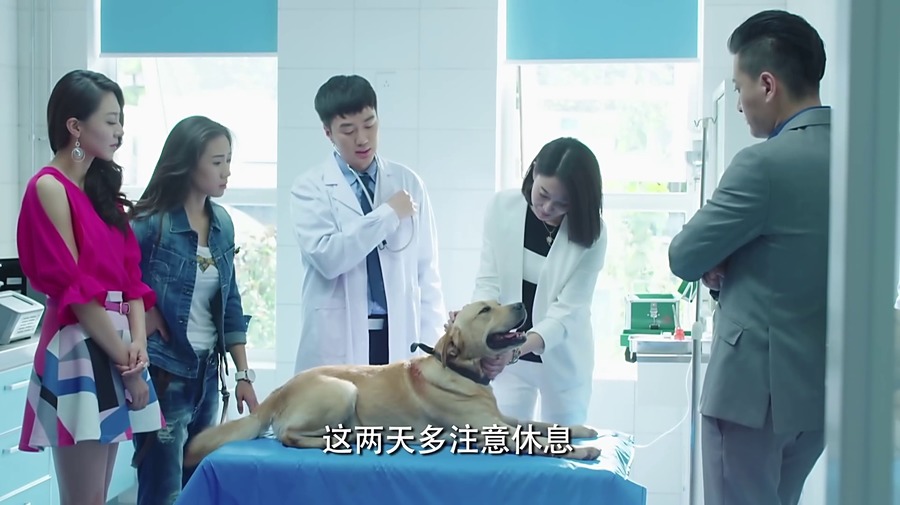 警花与警犬 第8集