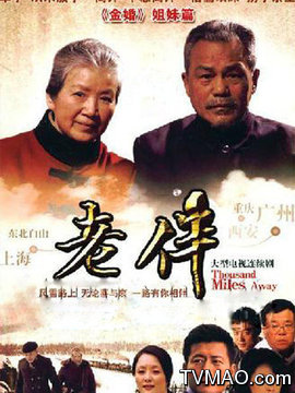 老伴剧情介绍