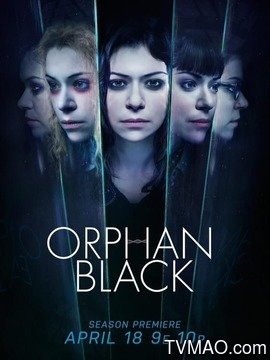 黑色孤儿第五季剧情介绍