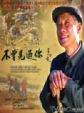 不曾见过你