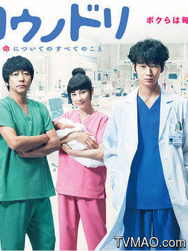 产科医鸿鸟2剧情介绍