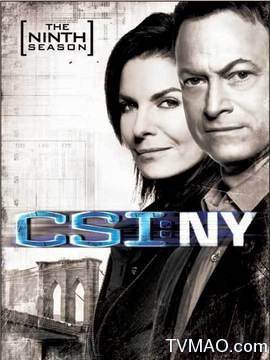 犯罪现场调查:纽约第九季剧情介绍