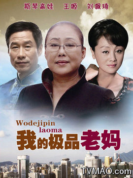 我的极品老妈剧情介绍