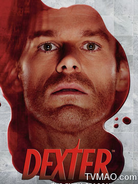 嗜血法医第五季剧情介绍