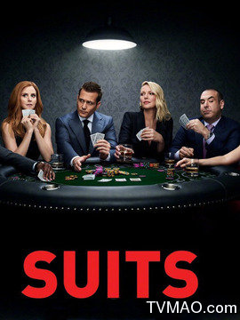 金装律师第八季剧情介绍