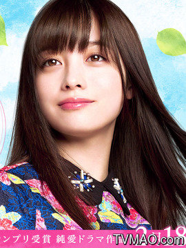 一页的恋爱剧情介绍