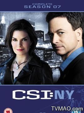 CSI NY Season 7剧情介绍,CSI: NY Season 7剧