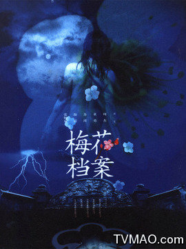 梅花档案2剧情介绍