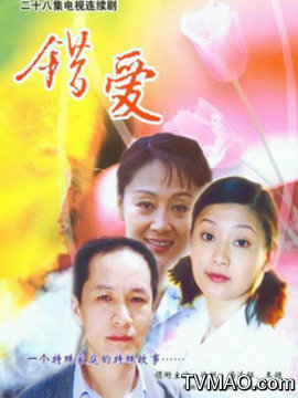 汉语普通话 导演: 陈国星 年份: 2006年 编剧: 高满堂 类别: 电视剧