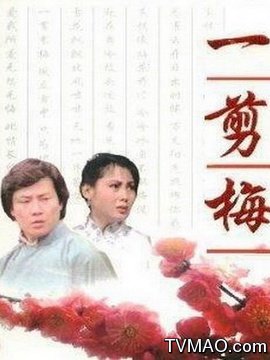 一剪梅(电视剧)