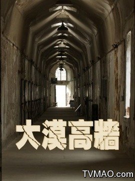 大漠高墙