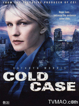 铁证悬案第二季剧情介绍