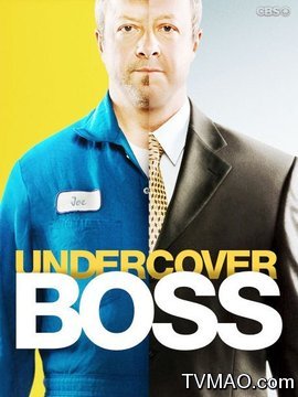 卧底老板第一季剧情介绍