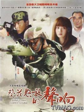 野狼突击队剧情介绍(1-28全集)_电视剧_电视猫