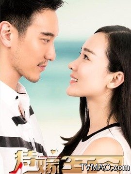 追婚记剧情介绍
