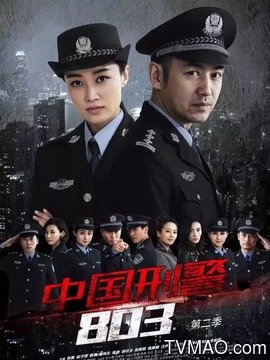 中国刑警803英雄本色(电视剧)