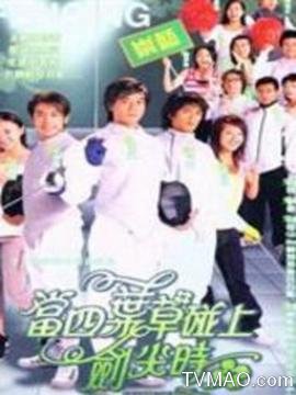 当四叶草碰上剑尖时剧情介绍