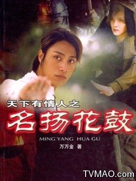 名扬花鼓(电视剧)