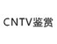CNTV鉴赏