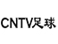 CNTV足球