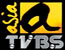 TVB无线卫星亚洲台