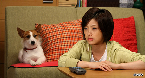 热血律师剧照,热血律师图片_电视猫