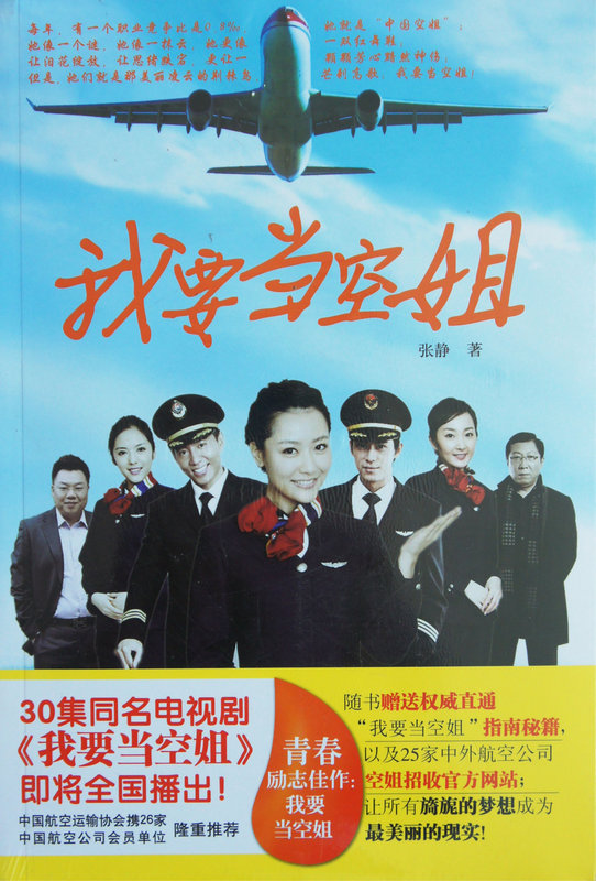 我要当空姐剧照