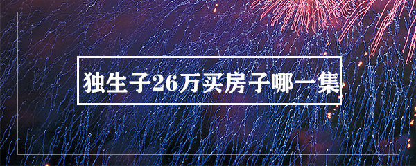独生子26万买房子哪一集_电视猫