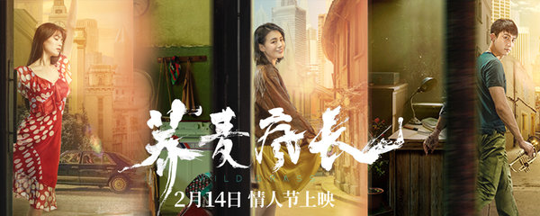 电影荞麦疯长结局是什么意思