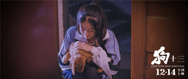 《狗十三》李玩:放大每一个孩子成长的历程