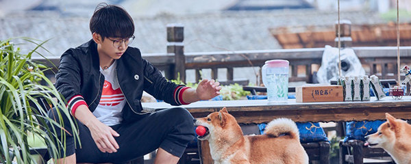 向往的生活第二季新加入成员_电视猫